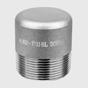 ASME B16.11 Round Head Plug Storlek